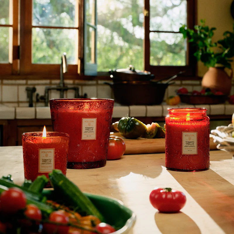 Tomato Trellis Large Jar