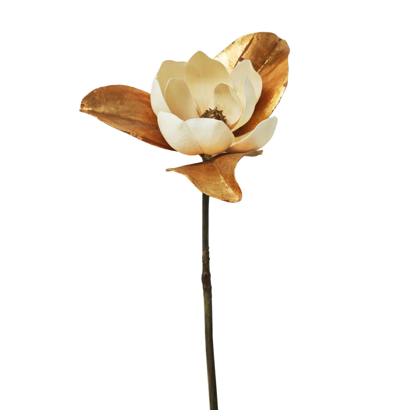 Gold Magnolia 24"
