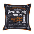 Apothecary Shoppe Pillow