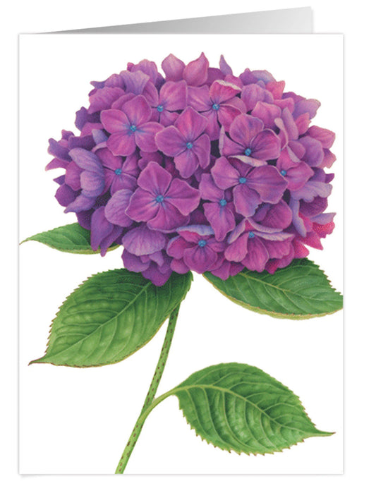 Purple Hydrangea Sympathy Card