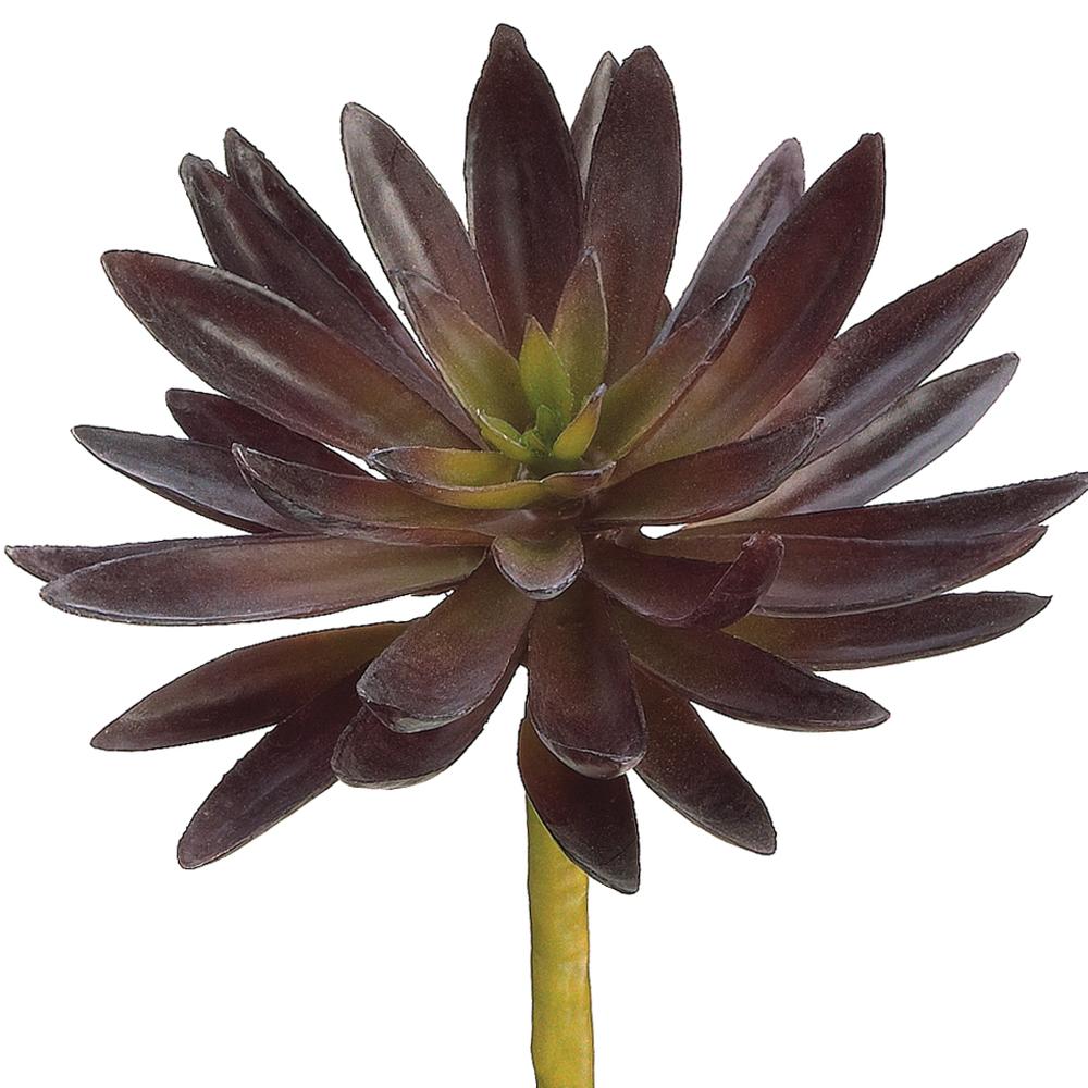 Agave Pick Rust