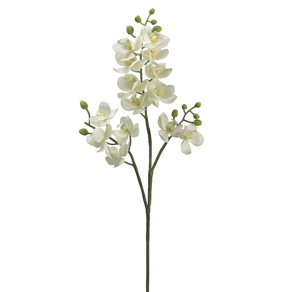 Mini Phalaenopsis Orchid Spray White