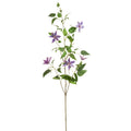 Clematis Spray Purple