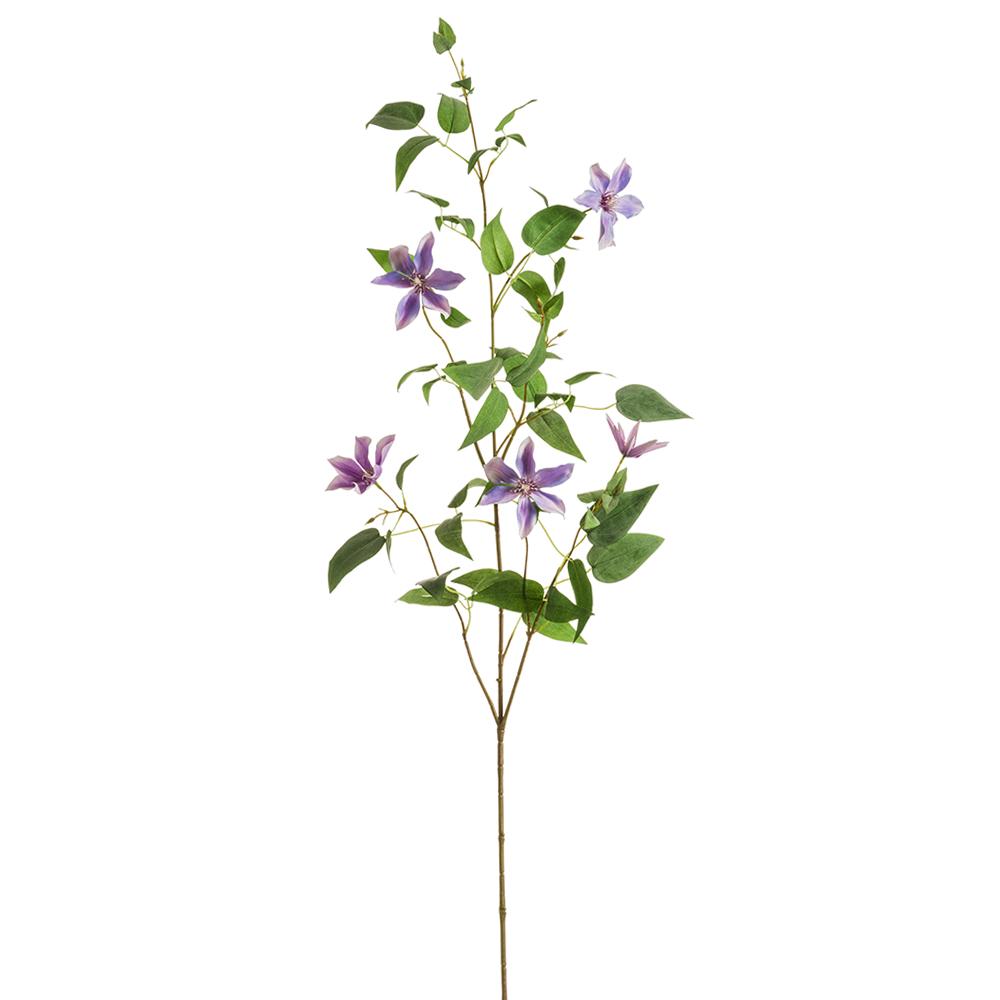 Clematis Spray Purple