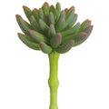 Real Touch Spike Aeonium Pick Green Lavender