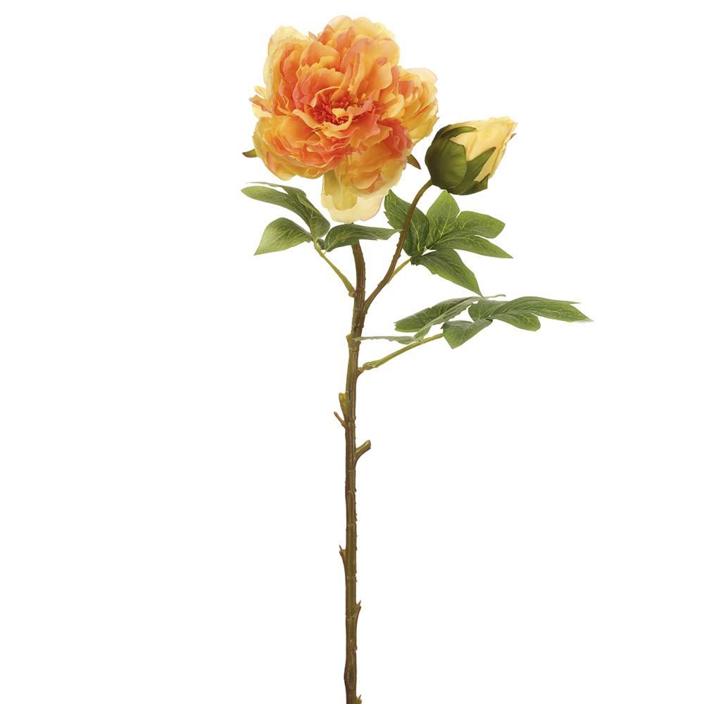 Peony Spray Yellow