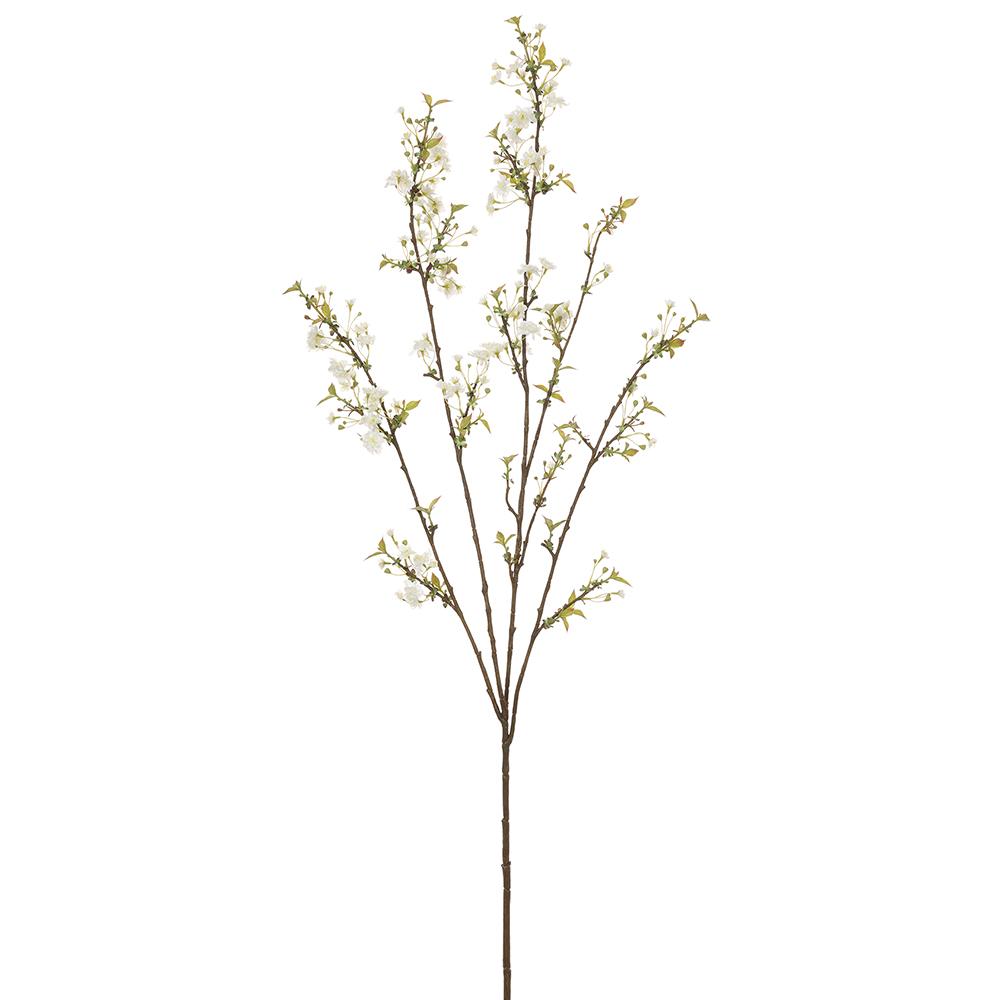Sakura Blossom Spray Cream