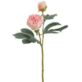 Dried Look Peony Spray With Bud Pink