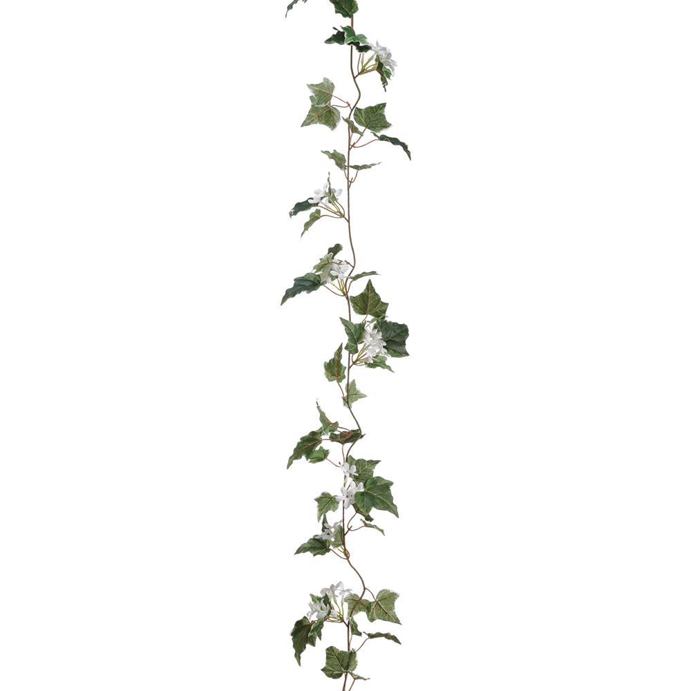 Stephanotis With Ivy Leaf Garland White