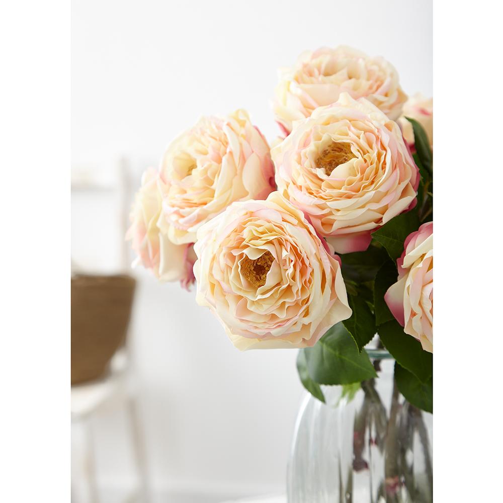 Cabbage Rose Bud Spray Two Tone Pink