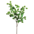 Hops Spray Green