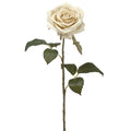 Rose Spray Eggshell
