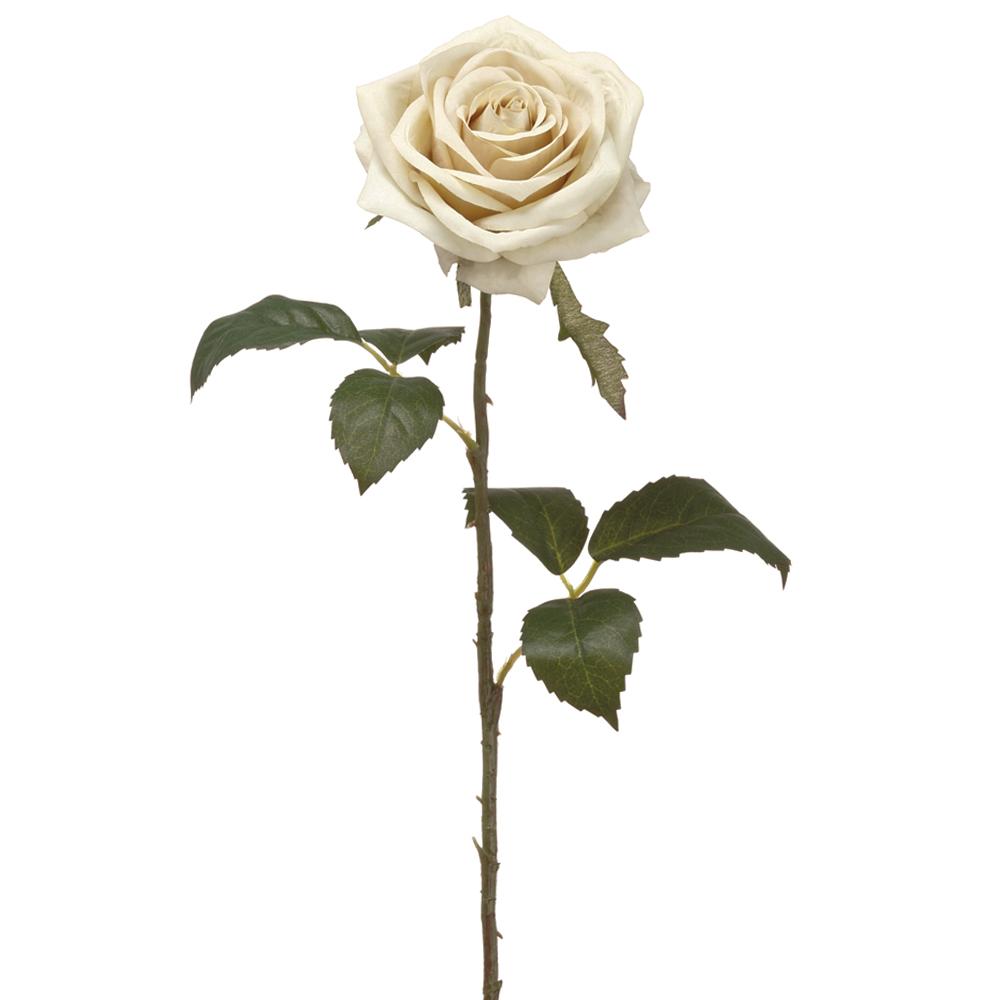 Rose Spray Eggshell