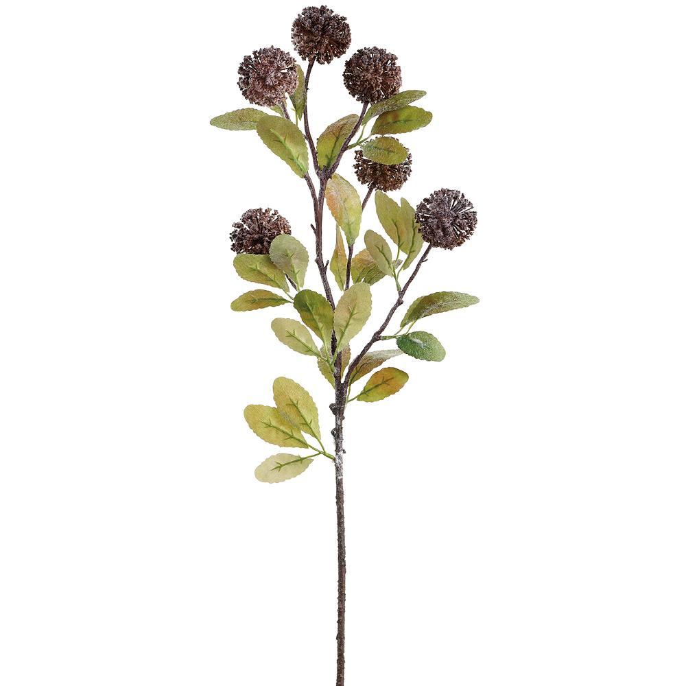 Allium Ball Spray Brown