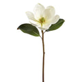 Magnolia Spray Cream Green