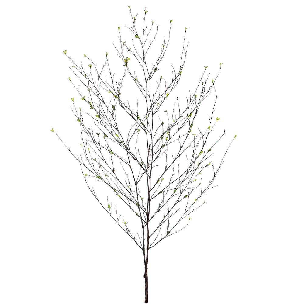 48" Bamboo Branch Bundle x3 Green