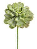 6" Real Touch Baby Aeonium Pick Frosted Green