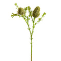 Banksia Spray Green Gray