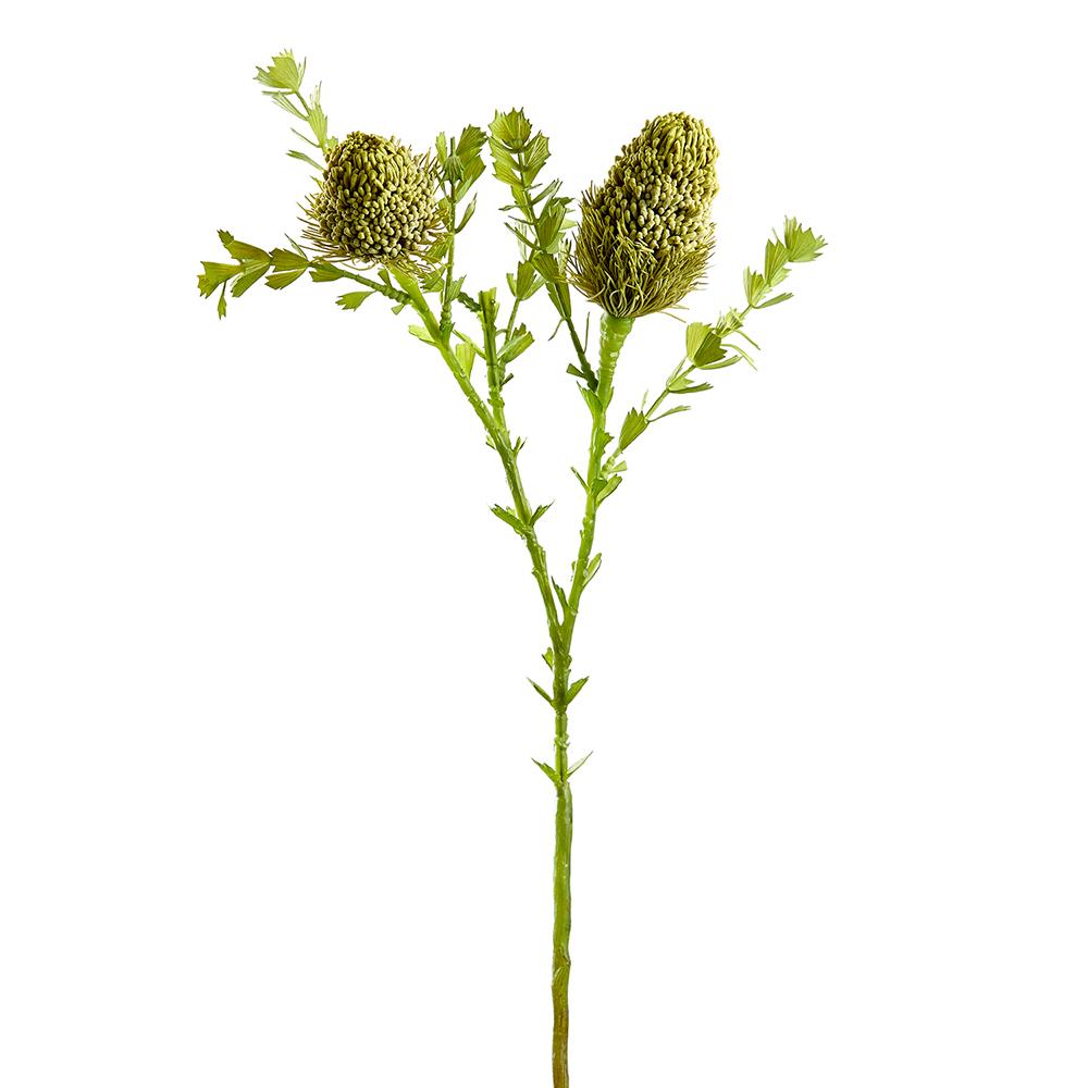 Banksia Spray Green Gray