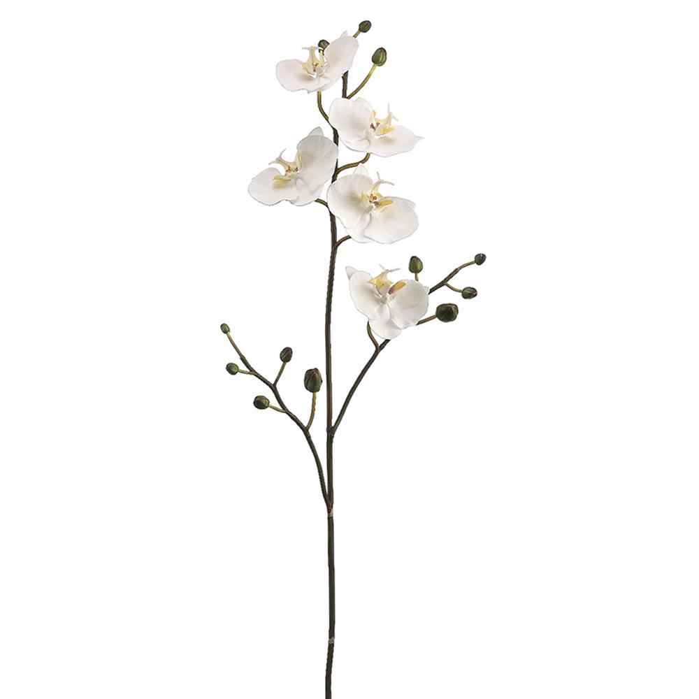 Phalaenopsis Orchid Spray 34"