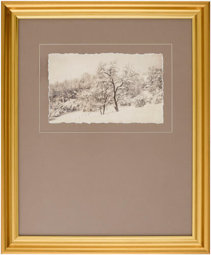 Coconino Framed Art 23x19