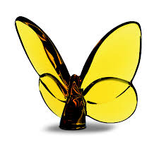 Papillon Lucky Butterfly, Amber