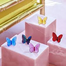 Papillon Lucky Butterfly, Amber
