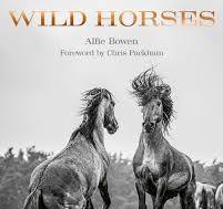 Wild Horses