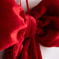 Ralph Red Velvet Bow Large