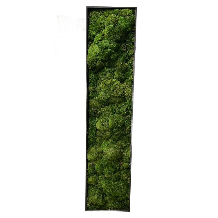 Moss Wall Panel