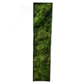 Moss Wall Panel