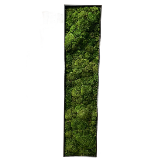 Moss Wall Panel