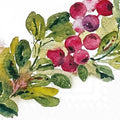 Cranberry Wreath Christmas Paper Cocktail Napkins Pk/20