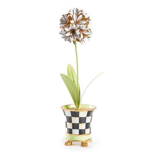 Botany Potted Allium Flower