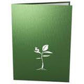 Money Tree Pop Up Card