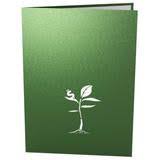Money Tree Pop Up Card