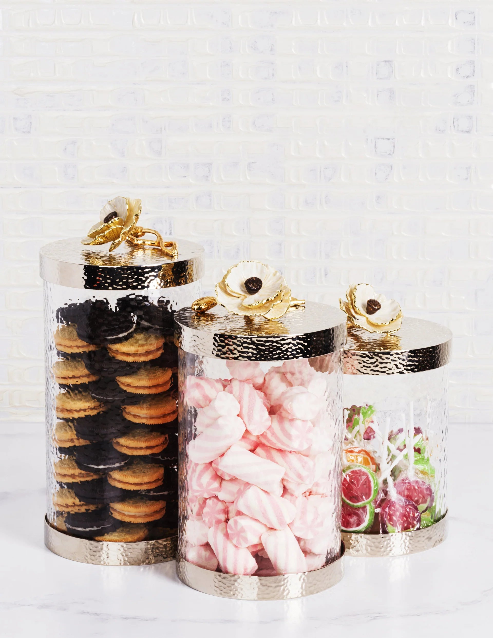 Anemone Canister - Medium