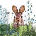 Chou Chou Bunny Luncheon Napkin