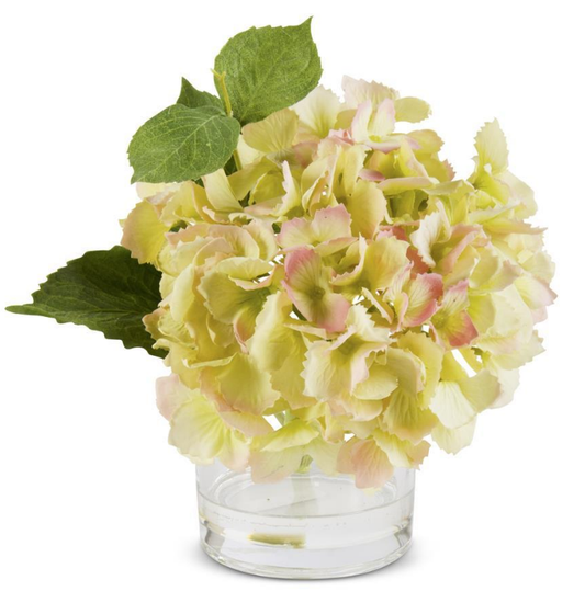 Green Real Touch Hydrangea in Glass Vase 9 Inch