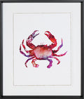 Multicolored Crab