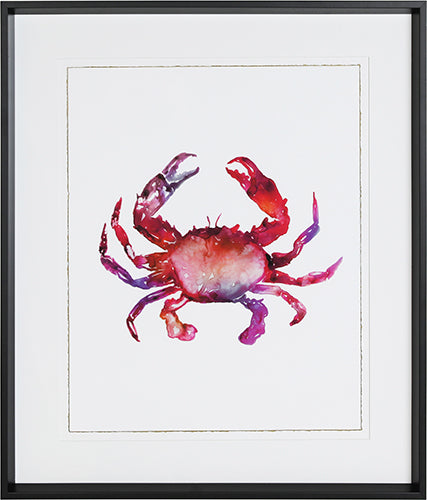 Multicolored Crab