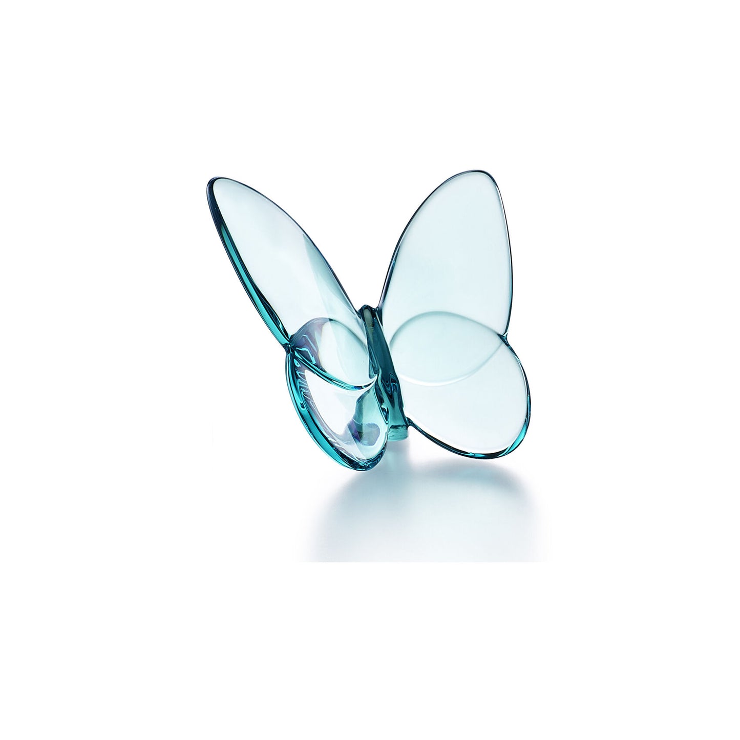 Papillon Lucky Butterfly, Turquoise