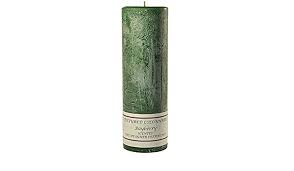 Root Bayberry Candle 3x9