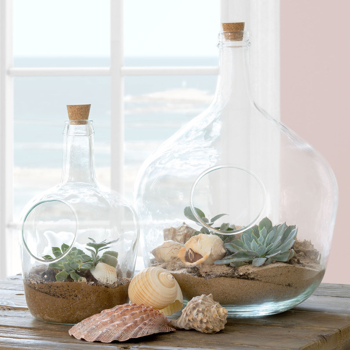Glass Bottle Terrarium, Large