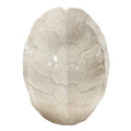 Turtle Shell Vase