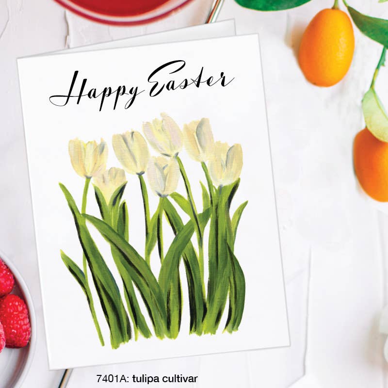 Tulipa Cultivar (Easter)