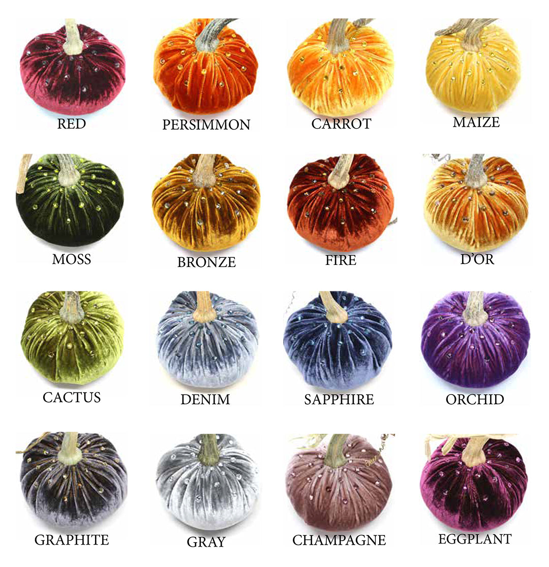 LE Velvet Pumpkin w/ Crystal Burst
