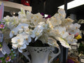 Orchid Phalaenopsis 39"