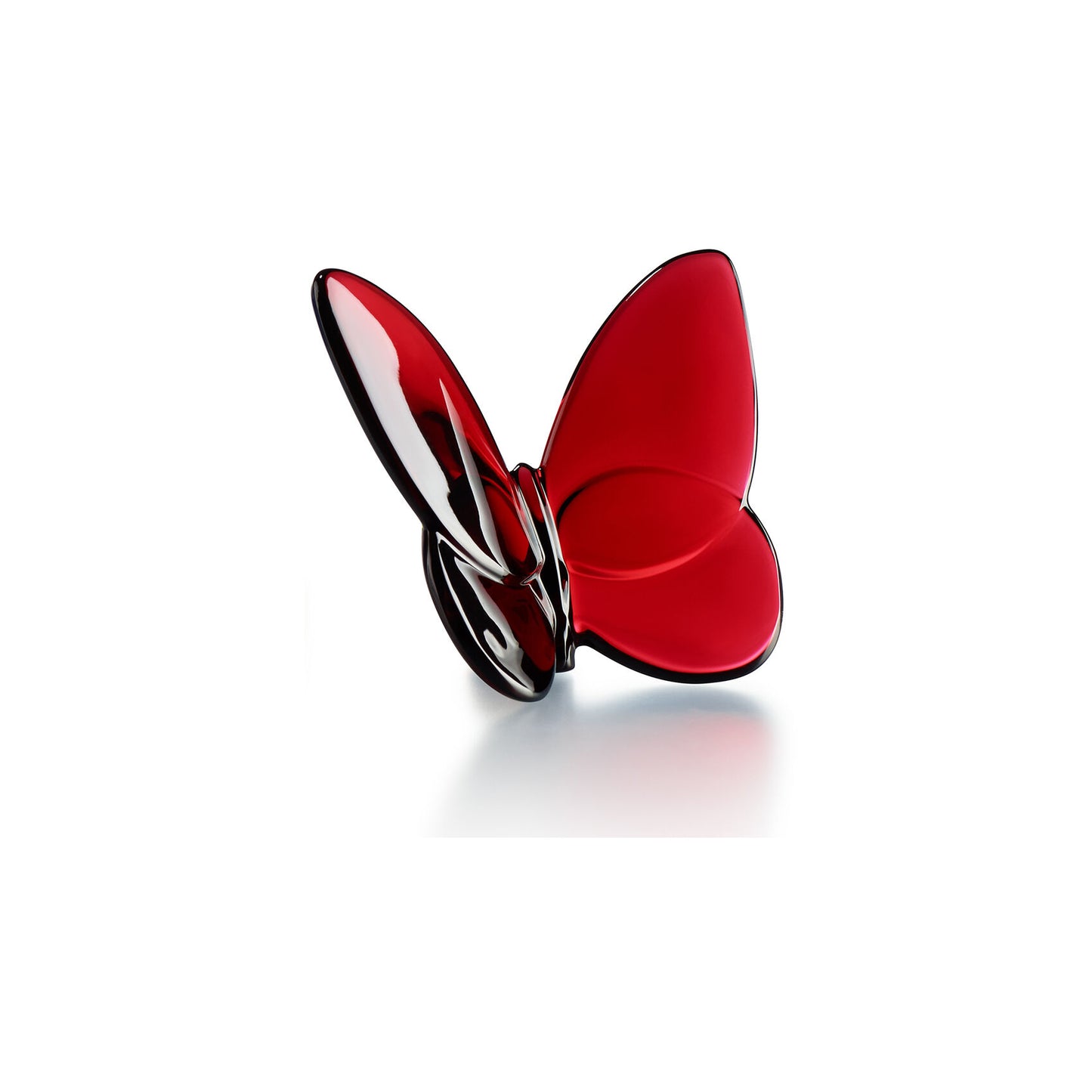 Papillon Lucky Butterfly, Red