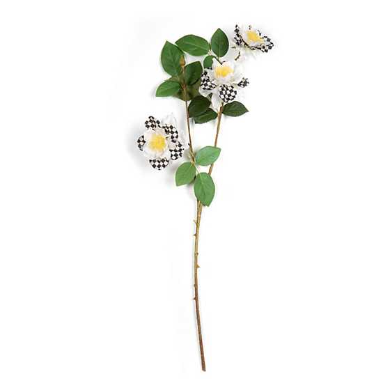 Wild Rose Spray - Cream